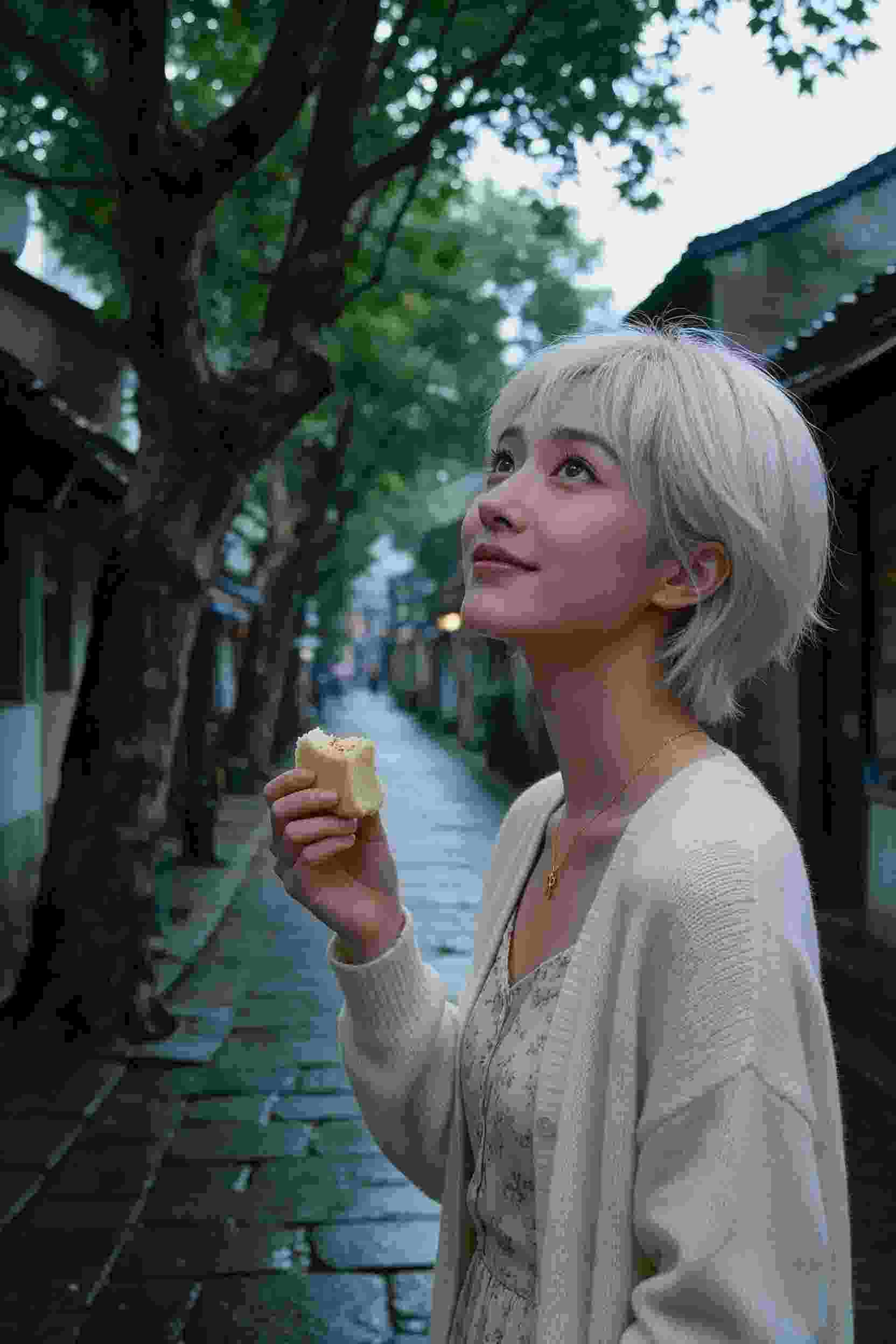 冒险岛屿